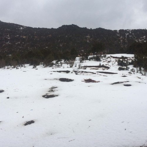 Land filled with snow