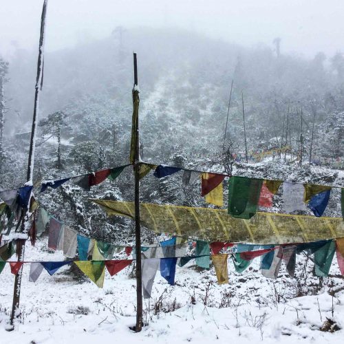Snow & Prayer Flag